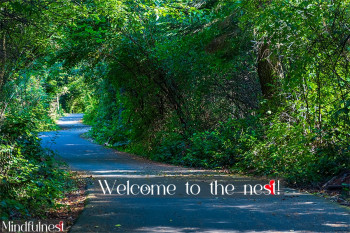 Welcome to the nest!